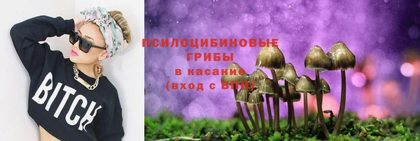 тгк Армянск